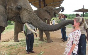 Sayohat paytida nimadirlar o'xshamay qolgani haqida 22ta fotosuratlar