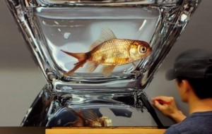 Qiziqarli ma'lumotlar: Yong-Sung-Kimdan realistik suratlar 