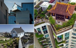 Yirik shaharlardagi ko’p qavatli uylarning tomida qurilgan 15 nafar kichik uylar 