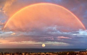 Har qanday fotoshop namunasi tabiat oldida ojiz ekanligining 27 isboti 