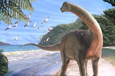  Paleontologlar AQSHda yangi tug’ilgan tiranozavr bolasining qoldiqlarini topib oldilar