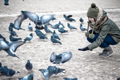 Dunyoning 60 dan ortiq mamlakati kaptar pochtasidan foydalanadi!