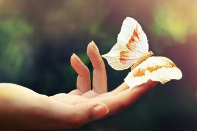 Kaftga qarab taqdirni aniqlash mumkinmi?