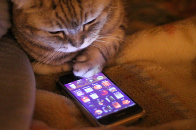 Nomofobiya haqida bilasizmi? U qanday qo'rquv turi?