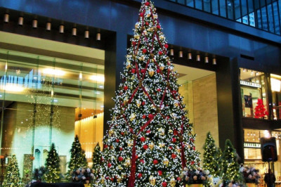 Dunyodagi eng qimmat Yangi yil archalari