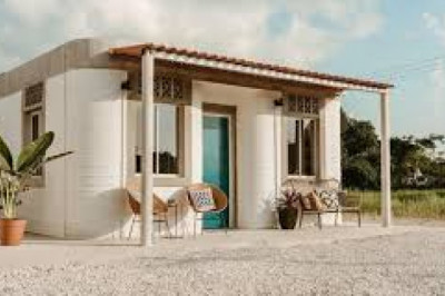 Ulkan 3D printer butun mahallani bosib chiqarishni boshladi.