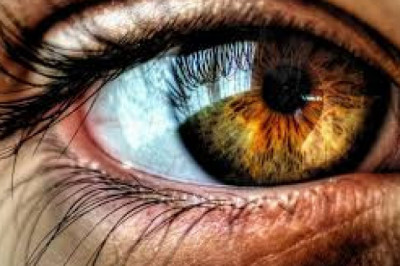 Ko’zlar haqidagi siz bilgan va bilmagan ajoyib faktlar