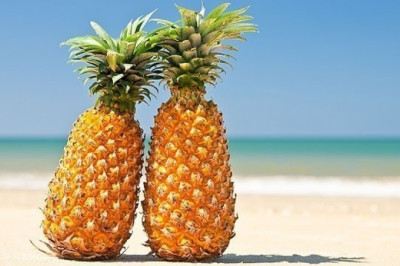 Sizning hayolingizga ham kelmagan g’aroyib faktlar