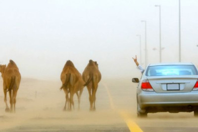 Turli davlatlarning g’aroyib xilma-xil  yo’l qoidalari