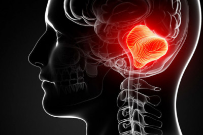 Inson organizmi haqida ko’pchilik bilgan va bilmagan qiziqarli faktlar