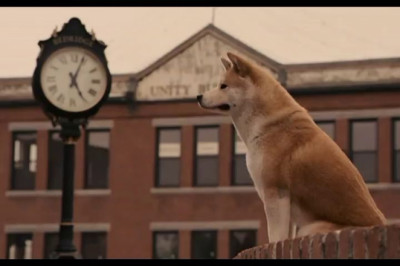 Xatiko: vafodor it haqida qayg’uli voqea