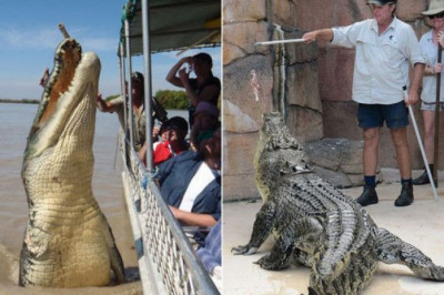 Inson hayotiga xavf soluvchi kasblar